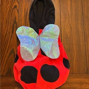 Carter's Red and Black 6-9 Month Ladybug Halloween Costume with Iridescent Wings